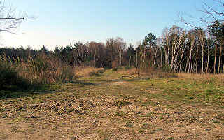 Wallpaper Feldbahntrasse